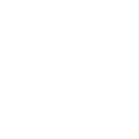 US Navy Logo - White